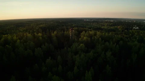 The watchtower in the middle of the forest Stock Footage 111419350