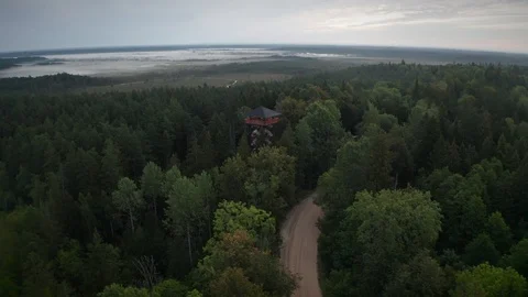 The watchtower in the middle of the forest 動画素材 115280542