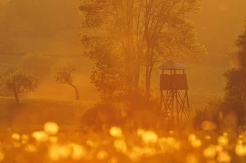 Watchtower tower at sunset Stock Photos