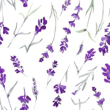 Watecolor lavender delicate seamless pattern on white background Stock Illustration