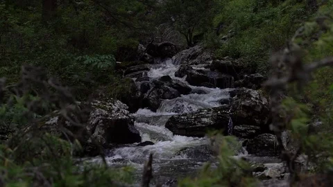 Watefall Stock Footage 81986048