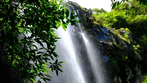 Watefall through the leafs in Mauritius Stock Footage 170032644