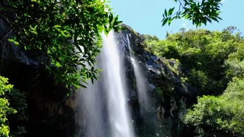 Watefall through the leafs in Mauritius Stock Footage 170033197