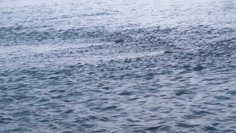 Water 001 Stock Footage 128656290