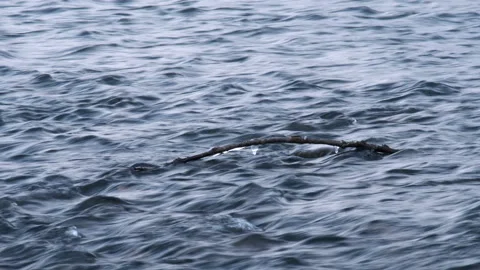 Water 005 Stock Footage 128656505