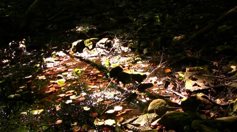 Water 1 Stock-Footage 32663179