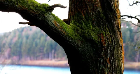 Water 1 Stock Footage 139342389