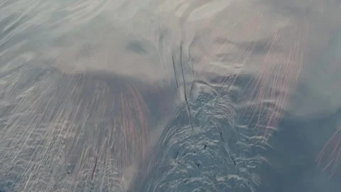 Water 1 Video stock 268820085