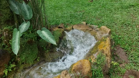 Water (1) Stock Footage 280394884