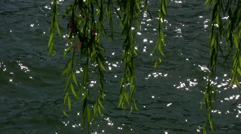 Water 3 Stock Footage 286671