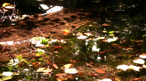 Water 3 Stock-Footage 32663173