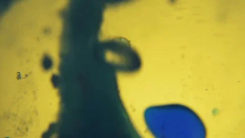 Water abstract background. Boiling liquid. Chemical reaction in a liquid. Close Stock Footage 88467727