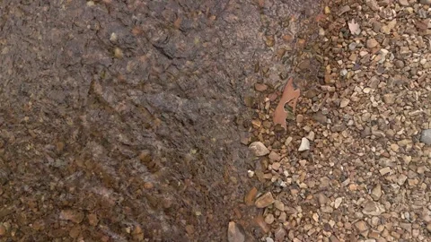 WATER ABSTRACT - CLOSE FLY OVER OF CREEK BANK 動画素材 279828471