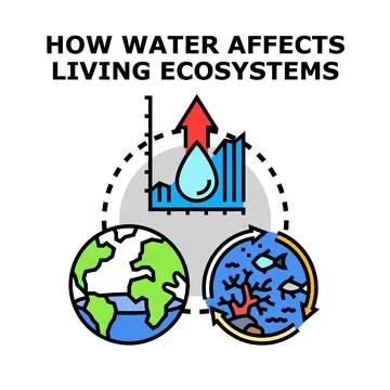 Water affecting living ecosystems concept illustration Illustrazione stock