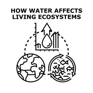 Water affecting living ecosystems concept illustration Stock Illustration