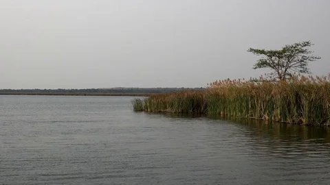 Water in africa Stock Footage 79114384