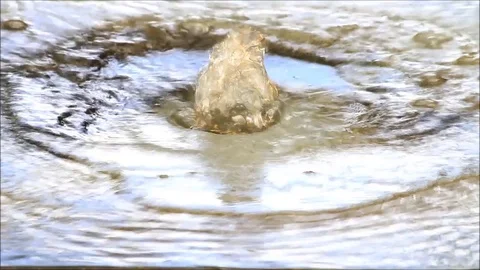 Water air bubbles from water stone Stock Footage