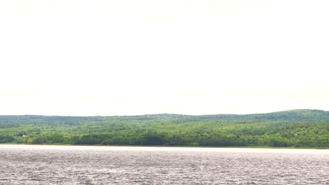 Water and forest background Stock Footage 159433045