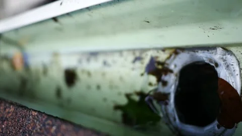 Water and Leaf Matter Flowing into Gutter Downspout Stock Footage 340113428