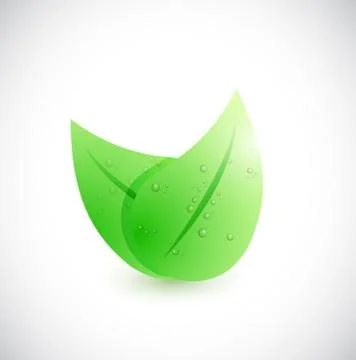 Water and leaves illustration design Illustrazione stock