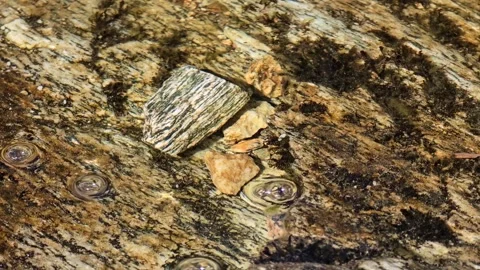 Water and natural floating bubbles moving over patterned rock. Stock Footage 343734315