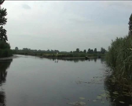 Water and nature Stock Footage 8517397