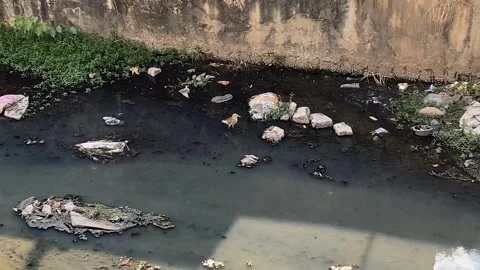 Water and plastic pollution Video stock 295436144