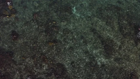 Water and reef from a drone Stock Footage 100887826