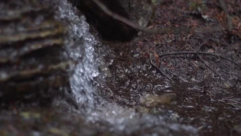 Water and soil streaming in Banff Stock Footage 138034962