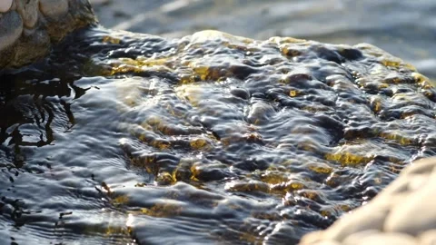 The water and stream flowing over natural stones. Stock Footage 268903315