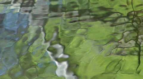 Water and Striders 2 Video stock 24647835
