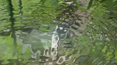 Water and Striders Video stock 24617621