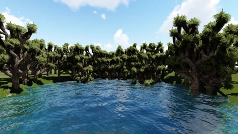 Water and tree Stock Footage 337835912