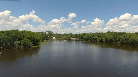 Water and trees Stock Footage 108877830