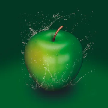 Water apple Stock Illustration