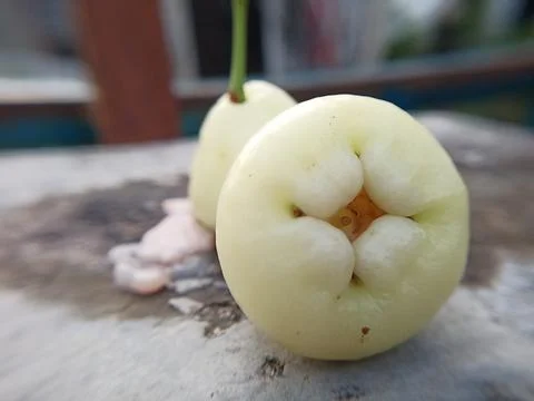 Water Apple 스톡 사진