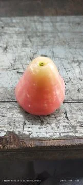 Water apple Stock Photos