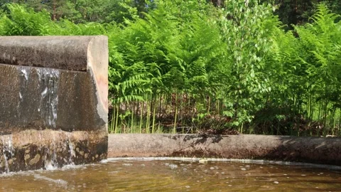 Water aqueduct. Video stock 250476278