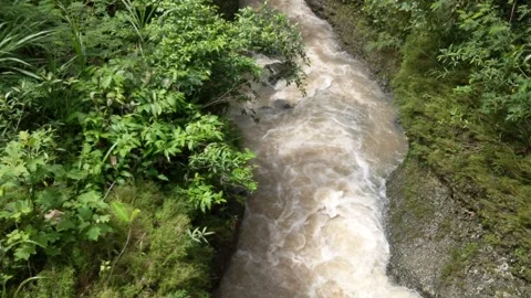 Water area of ​​small rivers scattered with Indonesian river rocks 8 Stock Footage 245718375