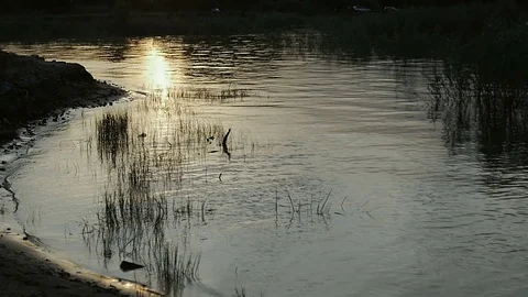 Water around the sandy coast Video stock 79603616