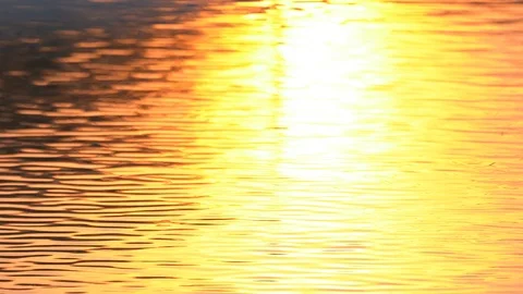 Water backgroun surface motion from sunset in pond background, golden wave Stock Footage 125439794