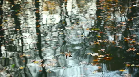 Water background art effect Видео 1056416