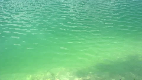 Water background with floating fish, turquoise water surface, aquamarine water Stock Footage 160369321