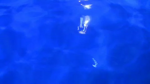 Water background Stock Footage 508059