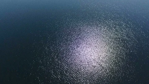 Water Background Stock Footage 75801717