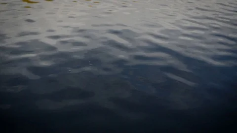 Water background Stock Footage 81478336