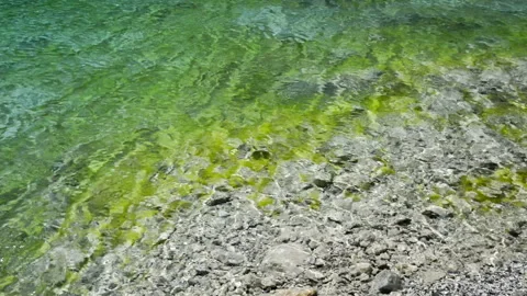 Water background Vídeo Stock 85784914