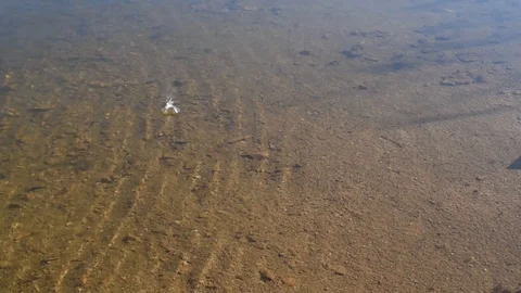 Water background Stock Footage 122363307