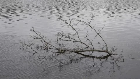 Water background Stock Footage 141311677