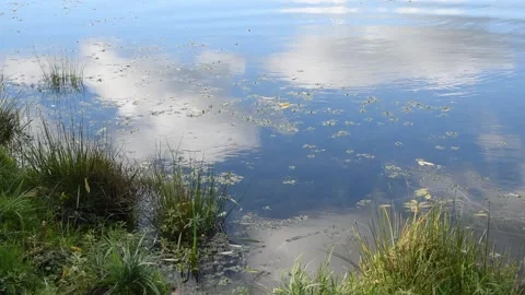 Water background Stock Footage 142404365